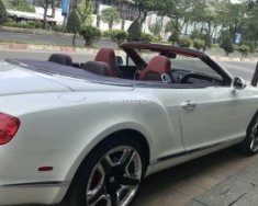 Bentley Continental 2016 - Cần bán xe Bentley Continental sản xuất 2016, màu trắng, nhập khẩu nguyên chiếc giá 11 tỷ 800 tr tại Tp.HCM