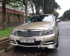 Mercedes-Benz C class C250 2014 - Bán Mercedes C250 đời 2014, màu vàng cát giá 850 triệu tại Tp.HCM