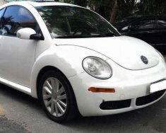 Volkswagen New Beetle 2.5 AT 2007 - Cần bán gấp Volkswagen New Beetle 2.5 AT 2007, màu trắng, nhập khẩu   giá 470 triệu tại Tp.HCM