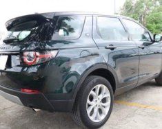 LandRover Discovery 2016 - Bán LandRover Discovery năm 2016, màu xanh giá 2 tỷ 650 tr tại Tp.HCM