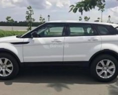 LandRover Evoque 2017 - Cần bán LandRover Evoque sản xuất năm 2017, màu trắng, nhập khẩu nguyên chiếc giá 2 tỷ 590 tr tại Tp.HCM