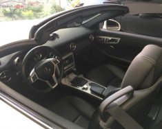 Mercedes-Benz SLK class SLK 350 2014 - Cần bán lại xe Mercedes SLK 350 năm 2014, màu trắng, xe nhập   giá 1 tỷ 890 tr tại Hà Nội