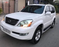 Lexus GX 470 2004 - Bán Lexus GX 470 sản xuất năm 2004, màu trắng  giá 870 triệu tại Tp.HCM