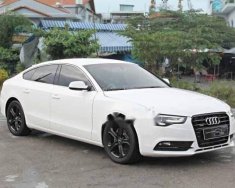 Audi A5 2013 - Bán Audi A5 nhập khẩu của Đức, chính chủ biển số Sài Gòn, bao test hãng, nội thất mới giá 1 tỷ 800 tr tại BR-Vũng Tàu