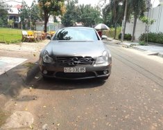 Mercedes-Benz CLS class CLS 500 2005 - Cần bán lại xe Mercedes CLS 500 năm sản xuất 2005, màu xám, 660 triệu giá 660 triệu tại Tp.HCM