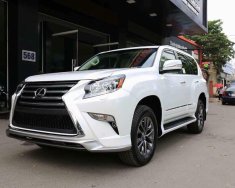 Lexus GX 460 2017 - Bán ô tô Lexus GX 460 sản xuất 2017, màu trắng, nhập khẩu nguyên chiếc giá 6 tỷ 340 tr tại Hà Nội