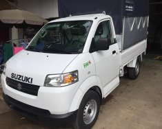 Suzuki Carry 2018 - Bán Suzuki Carry Pro mới 2018, nhập khẩu nguyên chiếc, hỗ trợ trả góp 70%, giao xe tận nơi giá 330 triệu tại Lạng Sơn