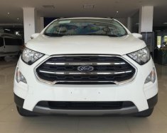 Ford EcoSport Titanium 2018 - Khuyến mại lớn Ford EcoSport Titanium sản xuất năm 2018, đủ màu giao ngay. 0968.912.236 giá 625 triệu tại Lào Cai