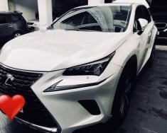 Lexus NX   300T   2017 - Bán Lexus NX 300T 2017, màu trắng, nhập khẩu giá 2 tỷ 595 tr tại Tp.HCM