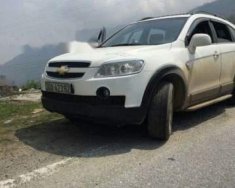 Chevrolet Captiva 2007 - Bán Chevrolet Captiva năm sản xuất 2007, màu trắng, nhập khẩu   giá 345 triệu tại Yên Bái