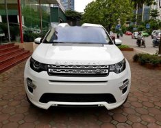 LandRover Discovery Sport HSE Luxury 2016 - Cần bán LandRover Discovery Sport HSE Luxury đời 2016, màu trắng, xe nhập giá 2 tỷ 920 tr tại Hà Nội