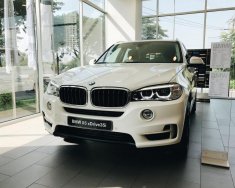 BMW X3 X-Drive 35i  2018 - BMW X5 X-Drive 35i sx 2018, sẵn xe giao ngay, hỗ trợ vay 85% giá trị xe giá 3 tỷ 599 tr tại Tp.HCM