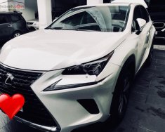 Lexus NX 300 2017 - Cần bán xe Lexus NX 300 đời 2017, màu trắng, nhập khẩu nguyên chiếc   giá 2 tỷ 550 tr tại Tp.HCM