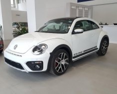Volkswagen New Beetle 2018 - Bán Volkswagen New Beetle năm sản xuất 2018, màu trắng, xe nhập giá 1 tỷ 469 tr tại Hà Nội