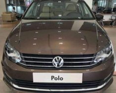 Volkswagen Polo  1.6AT 2018 - Cần bán xe Volkswagen Polo 1.6AT đời 2018, màu nâu, nhập khẩu giá 599 triệu tại Đồng Nai
