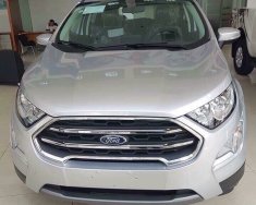 Ford EcoSport 2018 - Bán Ford Ecosport AT 2018, màu bạc, giá chỉ 558 triệu, xe có sẵn giao ngay, giá tốt nhất miền bắc. Lh 0969016692 giá 558 triệu tại Lạng Sơn
