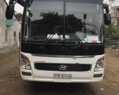 Hyundai Universe Xpress Luxury   2017 - Bán xe Hyundai Universe Xpress Luxury đời 2017, màu trắng, bầu hơi cửa bung giá 22 tỷ tại Nghệ An