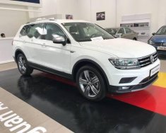 Volkswagen Tiguan   2017 - Bán ô tô Volkswagen Tiguan All Space sản xuất năm 2017, màu trắng, nhập khẩu, có xe giao ngay, khuyễn mãi khủng tháng 11 giá 1 tỷ 729 tr tại Đắk Lắk