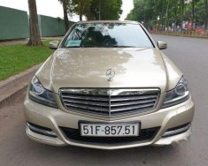 Mercedes-Benz C class  C250  2014 - Cần bán Mercedes C250 sản xuất 2014, xe nhập đã đi 88.000km, 870 triệu giá 870 triệu tại Tp.HCM