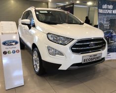 Ford EcoSport  Titanium 1.0L AT 2018 - Bán Ford EcoSport Titanium 1.0L AT, 2018, màu trắng, tặng bảo hiểm thân vỏ, hỗ trợ vay 90% giá xe, thủ tục nhanh gọn giá 689 triệu tại Lạng Sơn