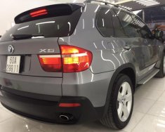 BMW X5 2010 - Bán ô tô BMW X5 đời 2010, màu xám (ghi), xe nhập giá 780 triệu tại Đồng Nai