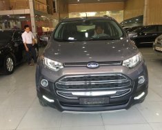 Ford Acononline Titanium 1.5L AT 2016 - Bán Ford Ecosport Titanium 1.5L AT 2016 xe cực lướt, cực mới giá 565 triệu tại Hà Giang