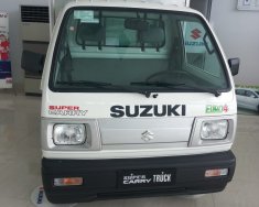 Suzuki Carry 2017 - Cần bán gấp Suzuki Carry 2017, màu trắng giá 170 triệu tại Bình Định
