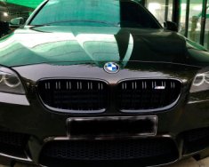 BMW 5 Series 528i 2010 - Chính chủ cần bán BMW 5 Series 528i sản xuất năm 2010, màu đen giá 1 tỷ 100 tr tại Hà Nội