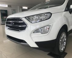 Ford EcoSport Titanium 1.5L AT 2018 - Bán Ford EcoSport Titanium 1.5 năm 2018, màu trắng tại Ninh Bình, LH 0989.022.295 giá 648 triệu tại Ninh Bình