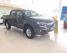 Chevrolet Colorado 2018 - Bán Chevrolet Colorado năm 2018, màu nâu, ở Bắc Cạn, lăn bánh chỉ 670 triệu, hỗ trợ vay 90% giá 651 triệu tại Bắc Kạn