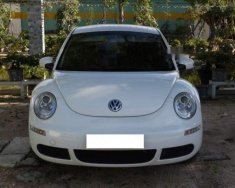 Volkswagen Beetle   1.6AT 2009 - Cần bán gấp Volkswagen Beetle 1.6AT năm 2009, màu trắng, nhập khẩu nguyên chiếc, 520tr giá 520 triệu tại Bình Định