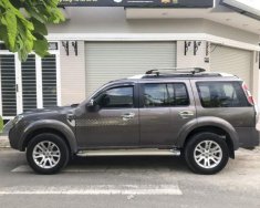 Ford Everest Limited 2014 - Bán Ford Everest Limited sản xuất 2014, màu xám số tự động, 675 triệu giá 675 triệu tại Tp.HCM