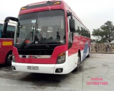 Hyundai Universe Xpress Luxury 2011 - Bán lại xe Hyundai Universe Xpress Luxury 2011, màu đỏ, nhập khẩu giá 2 tỷ 250 tr tại Hà Nội