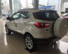 Ford EcoSport Titanium 1.0 2018 - Bán Ford Ecosport 1.0L AT 2018 tại Cao Bằng, khuyến mãi lớn, đủ màu, hỗ trợ vay 80%. L/h: 0989022295 giá 660 triệu tại Cao Bằng