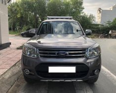 Ford Everest AT 2014 - Bán Ford Everest AT 2014, màu xám (ghi) giá 675 triệu tại Tp.HCM