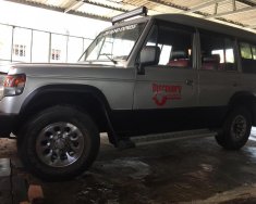 Hyundai Galloper G 1994 - Bán Hyundai Galloper G đời 1994, màu bạc, nhập khẩu nguyên chiếc giá 95 triệu tại Bình Thuận  