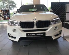 BMW X5 2018 - Bán xe BMW X5 giá tốt, giao xe ngay, hỗ trợ trả góp giá 3 tỷ 599 tr tại Tp.HCM