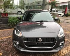 Suzuki Swift   2018 2018 - Bán Suzuki Swift 2018 xe mới, đảm bảo chất lượng tốt giá 499 triệu tại Thái Nguyên
