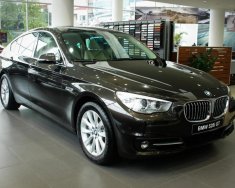 BMW 5 Series 520i GT 2017 - Bán BMW 528i GT 2017, màu Damast Red, nhập khẩu giá 2 tỷ 549 tr tại Hà Nội