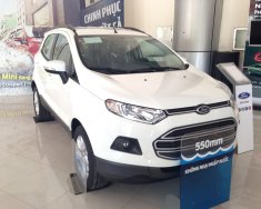 Ford EcoSport 1.5L Trend AT 2018 - Cần bán Ford EcoSport Trend năm sản xuất 2018, 553tr, cùng với nhiều khuyến mại - LH 0989022295 tại Hòa Bình giá 553 triệu tại Hòa Bình