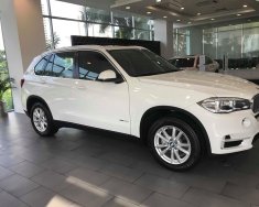 BMW X5 2018 - Bán xe BMW X5 đi tết 2019 với nhiều ưu đãi giá 3 tỷ 599 tr tại Tp.HCM