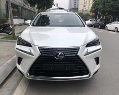 Lexus NX 2018 - Bán Lexus NX300 sản xuất 2018 màu trắng, giao ngay giá 2 tỷ 510 tr tại Hà Nội