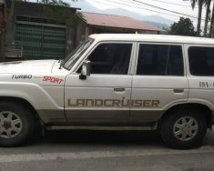 Toyota Land Cruiser 1980 - Bán xe Toyota Land Cruiser đời 1980, màu trắng, nhập khẩu nguyên chiếc còn mới, 110tr giá 110 triệu tại Phú Thọ