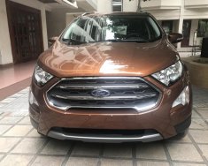 Ford EcoSport Titanium 2018 - Bán ô tô Ford EcoSport Titanium sản xuất 2018, cùng với nhiều khuyến mại hấp dẫn LH 0989022295 tại Hà Nam giá 610 triệu tại Hà Nam