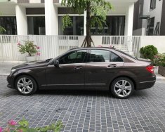 Mercedes-Benz C class C250  2014 - Bán Mercedes C250 sản xuất 2014 màu nâu dolomite cực chất giá 910 triệu tại Hà Nội