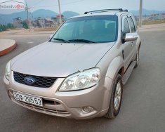 Ford Escape 2011 - Cần bán Ford Escape đời 2011 xe gia đình giá 410 triệu tại Thái Nguyên