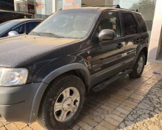 Ford Escape 2002 - Cần bán Ford Escape đời 2002, màu xám giá 120 triệu tại Vĩnh Phúc