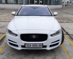 Jaguar XE Portfolio 2015 - Bán ô tô Jaguar XE Portfolio model 2016, màu trắng, nhập khẩu nguyên chiếc giá 1 tỷ 820 tr tại Hà Nội