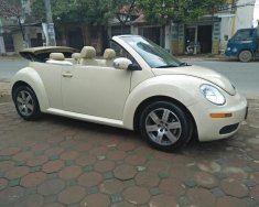 Volkswagen New Beetle 2.5AT 2006 - Cần bán xe Volkswagen New Beetle 2.5AT đời 2006 đăng ký lần đầu 2009 nhập khẩu Đức chính chủ mua từ mới giá 485 triệu tại Hà Nội