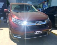 Honda CR V L 2019 - Bán ô tô Honda CR V L năm 2019, màu đỏ, nhập khẩu nguyên chiếc giá 1 tỷ 93 tr tại Cần Thơ